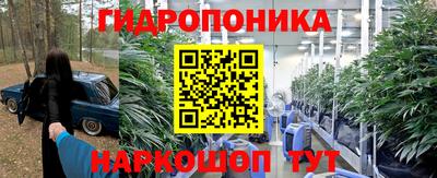 гашик Абакан