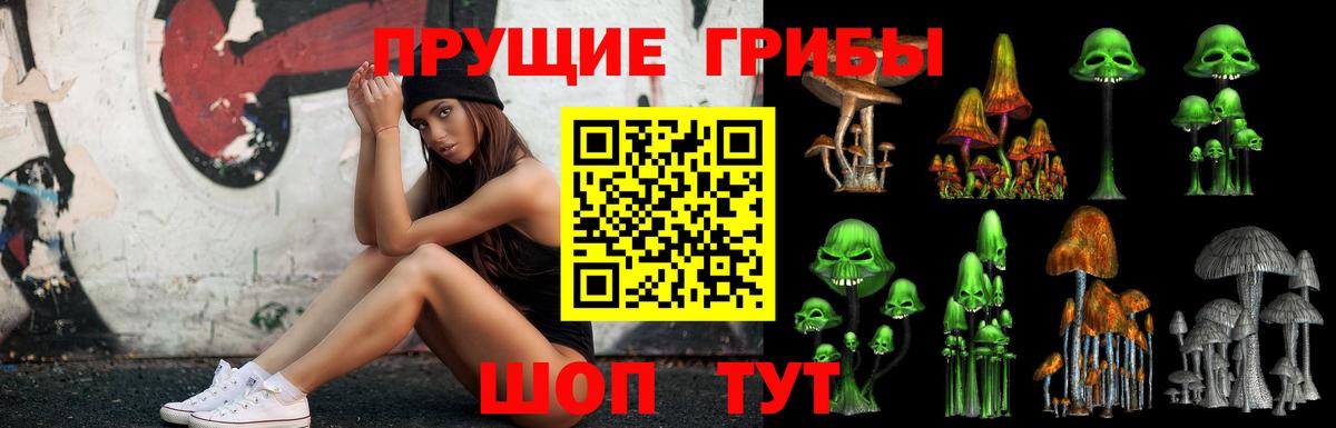 Азнакаево  Галлюциногенные грибы ЛСД  Вход с VPN 